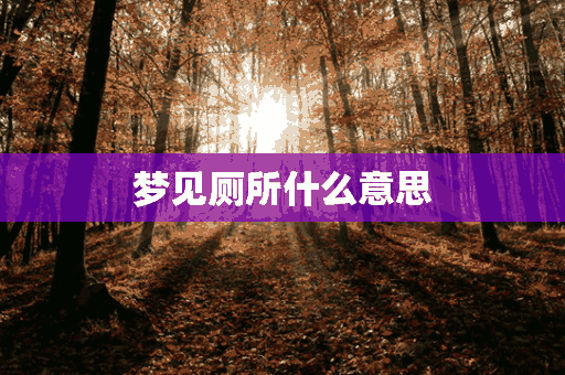 梦见厕所什么意思